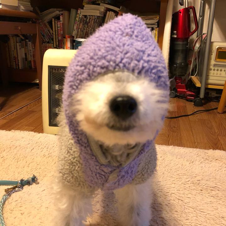 3a22f294 0b21 4b53 8805 dcf72b9bd2ed 1744018998252