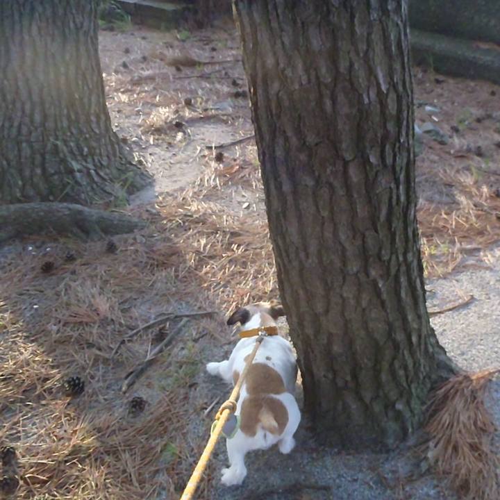 3a22fc04 5fa5 4a59 8972 12acaccf1998 1528722095714