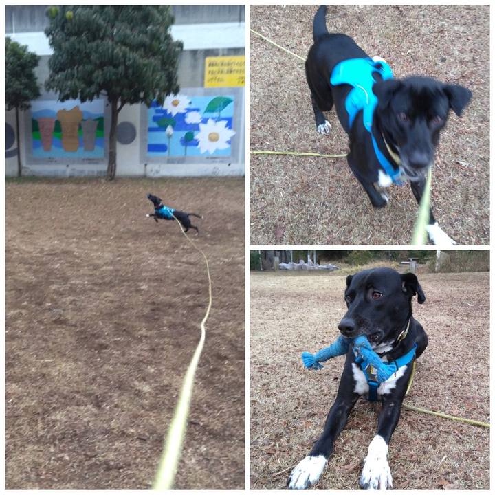 3a230998 929a 443c af92 1c7d68283259 1613087841038