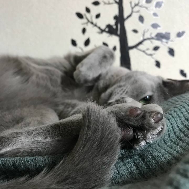 3a231787 2086 40cb 9ee8 39cdd21883ed 1532178138001