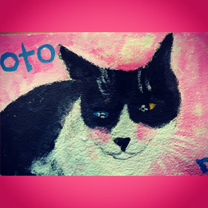 3a2353e7 ca26 4c56 821e a9e02dfaa63b 1510233220136