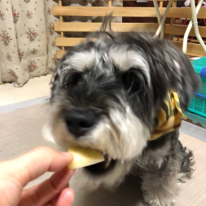 3a235fd9 240b 42cf 9ed4 d7a2b195fe4e 1658155583928