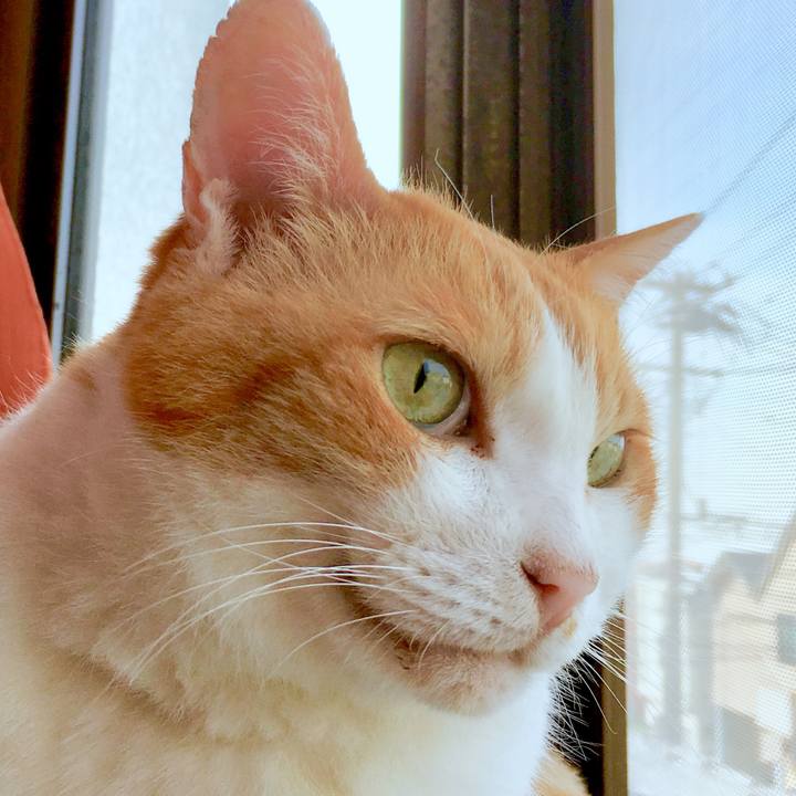 3a23775d 0821 4168 a00b a4fc6fabceee 1564713448741