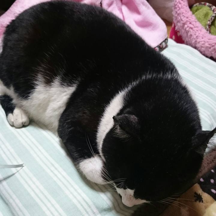 3a23bc99 84e7 4ea4 9ebb 9eb0cac52388 1510400105158