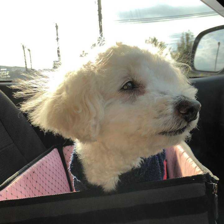 3a23d287 16d5 4a4c 9418 4aae0593819c 1548596873342