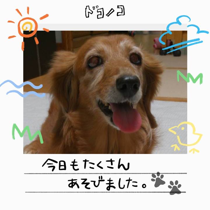 3a23f45c 4d10 46d4 a967 cd3fe2805128 1755104329845