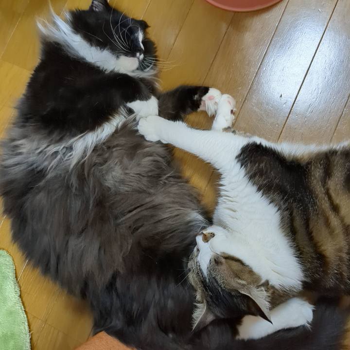 3a240809 f78e 4748 b4bf e8e9788bb496 1679131587687