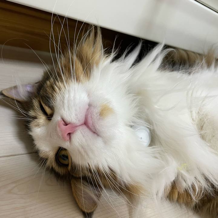 3a242faf 6a68 4d36 9d03 f101077c165d 1651062707039