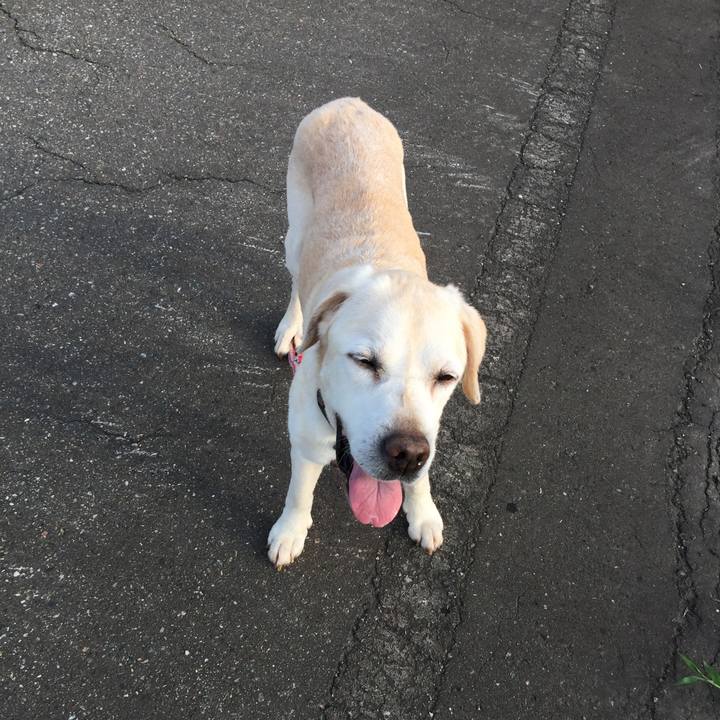 3a2454a2 f806 4900 9b76 d0cfa507de15 1530438520178