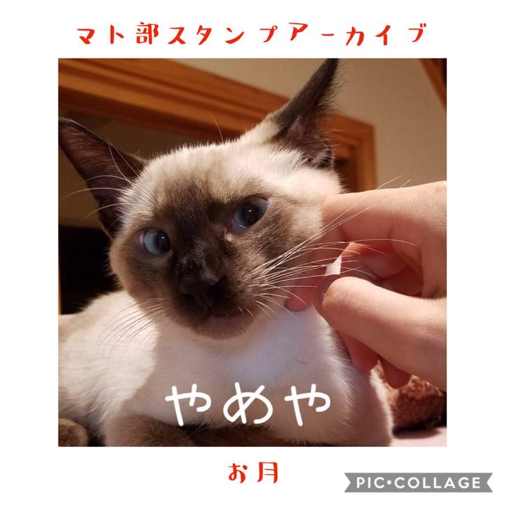 3a24abd1 786e 4b8e a83d a362aa3505c2 1578744304542