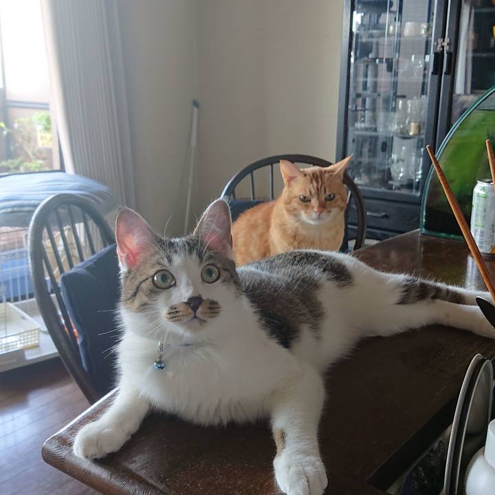 3a24cbec 66a1 4013 a6ac ef8cc16171eb 1557964419978