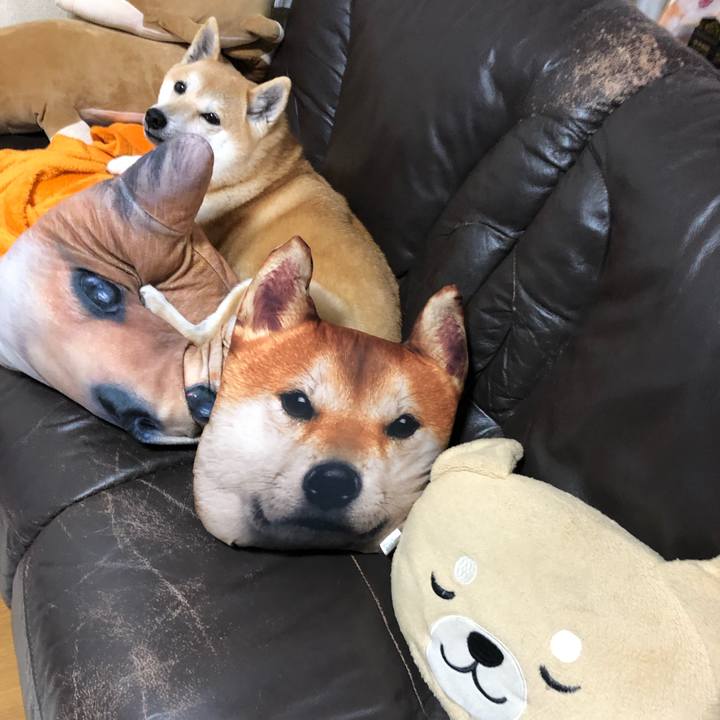 3a24f1a7 daa0 4c5b a92e 34318ee52101 1550063682096