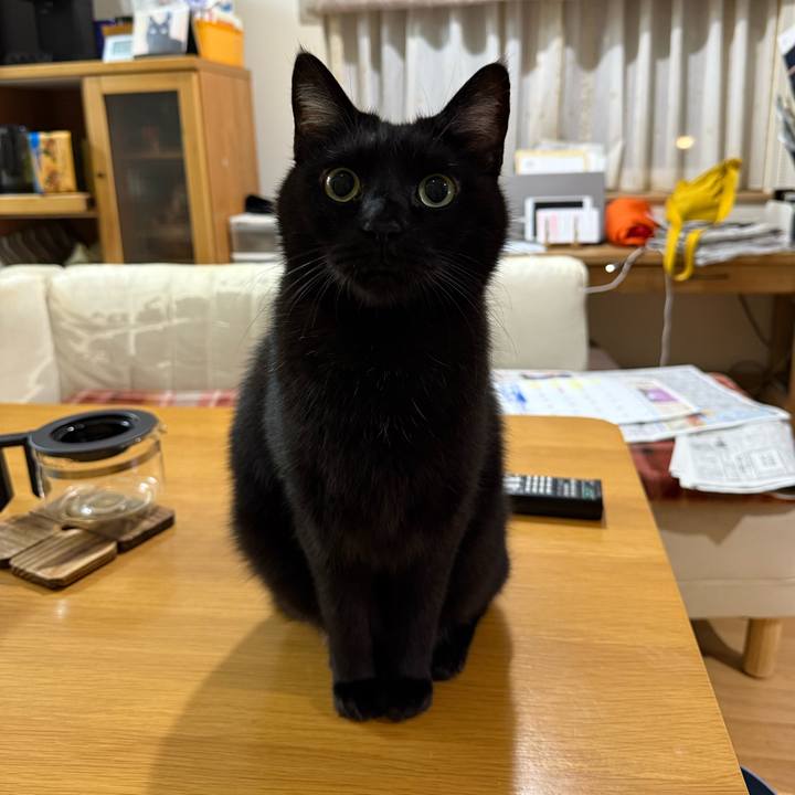 3a24fa2d cfa4 4a55 b4bb 5c51b43ba5ce 1763166931047