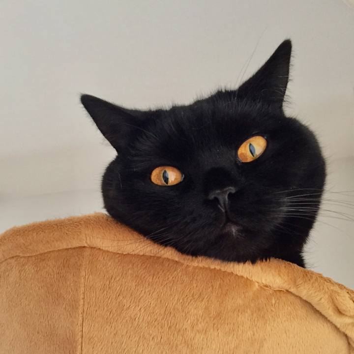 3a24fb09 a0ad 44ac 9d9e 0b547c4d4297 1557184564059