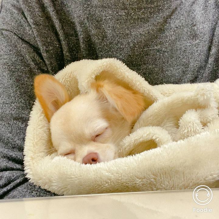 3a251aae 3d1f 4406 8279 25806a7a69f3 1602897528326