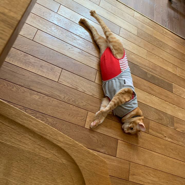 3a25242e 92e2 474e 8a19 dd6877895839 1600674671392