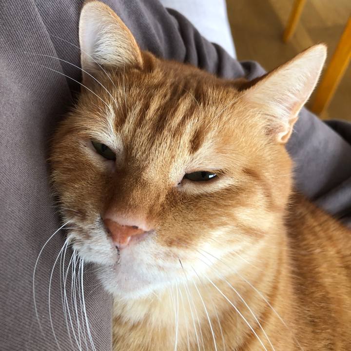 3a259954 a28c 429b bb11 5de5440bb014 1700873220529