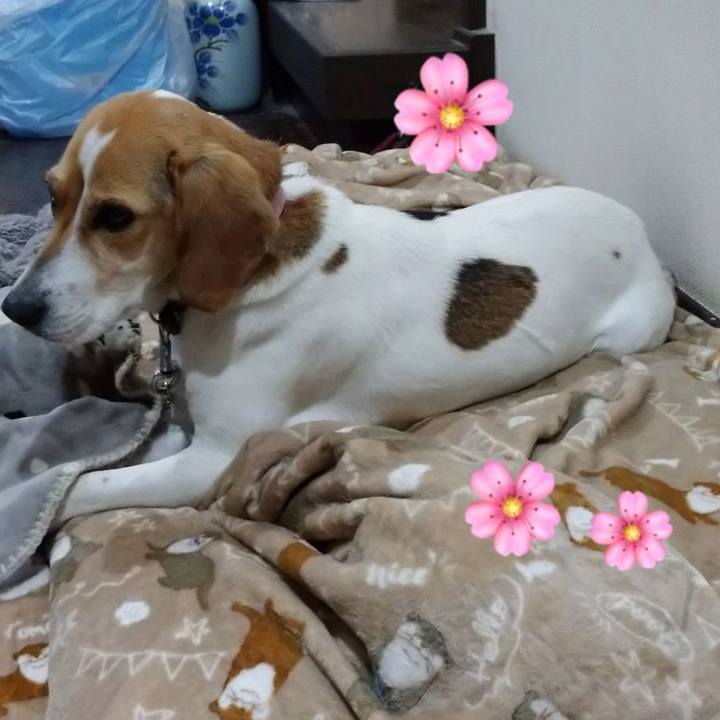 3a25f3c5 af52 4960 ab1a 0075ad9c6d67 1585738286244