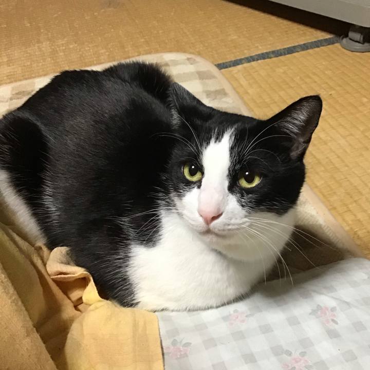 3a25fdcc 952e 46e8 b8cc 53a5b5af448a 1702471530039