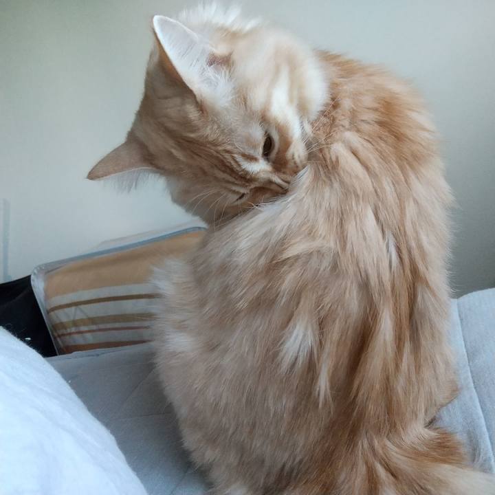 3a261a0d fe01 4228 9c7a 40cf748e6666 1642221239254