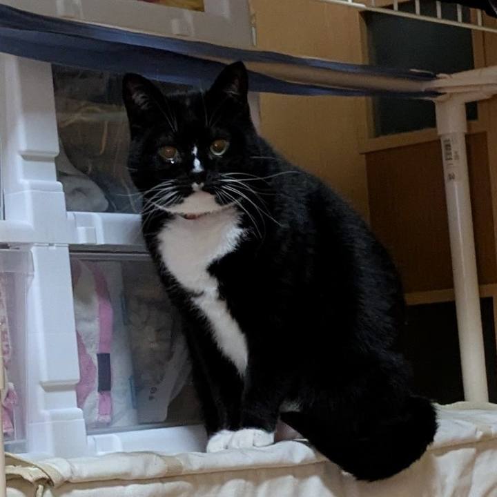 3a264fe8 56fa 48d5 9e8a ecae6a0a2230 1767449985144