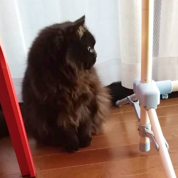 3a267ad7 e120 42c5 b7fc 6d25d6347a00 1652070514768