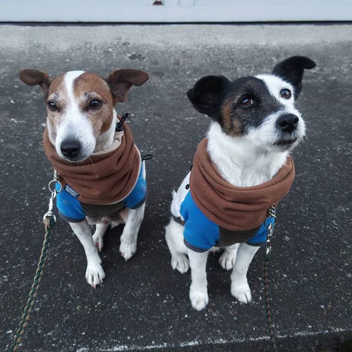 3a26cc8d aea2 4787 aed3 ce490b744b24 1769380453468