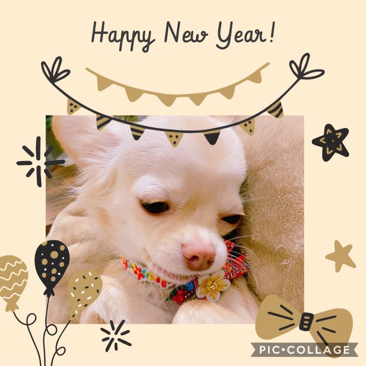 3a26f282 1c41 4df0 a1b1 1c7ded6eb180 1609456968851