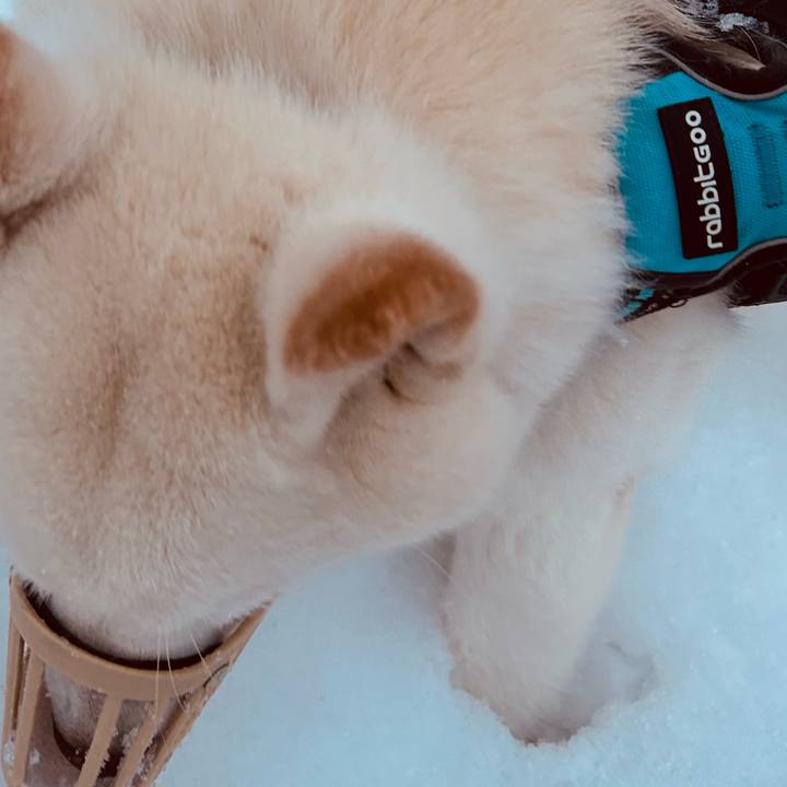 3a26f3d0 5ea7 43b3 a39d 6fe37a37da53 1737416266112