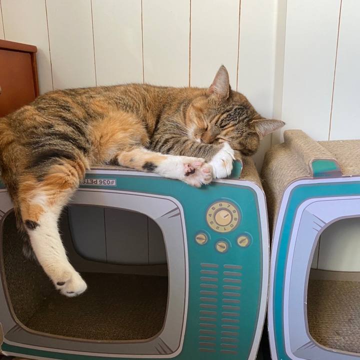 3a27549e c76b 41da 8101 8bce74820294 1660957019552