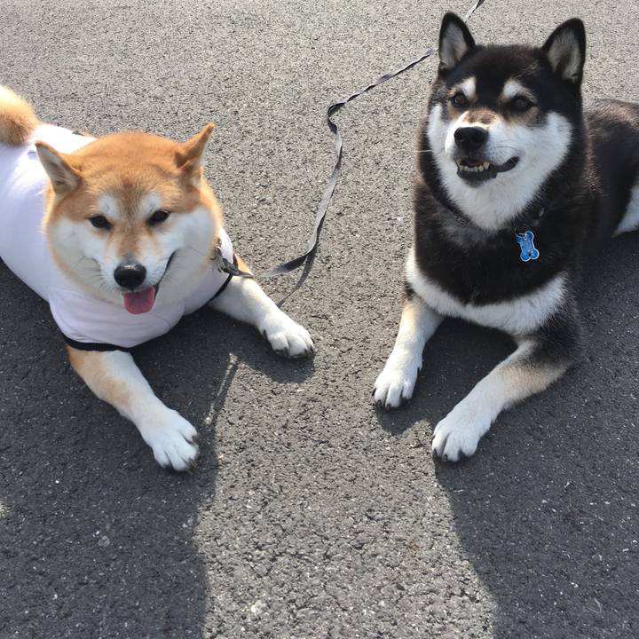 3a276309 4f2c 4faf 9262 17a8a1885b6c 1539914181889