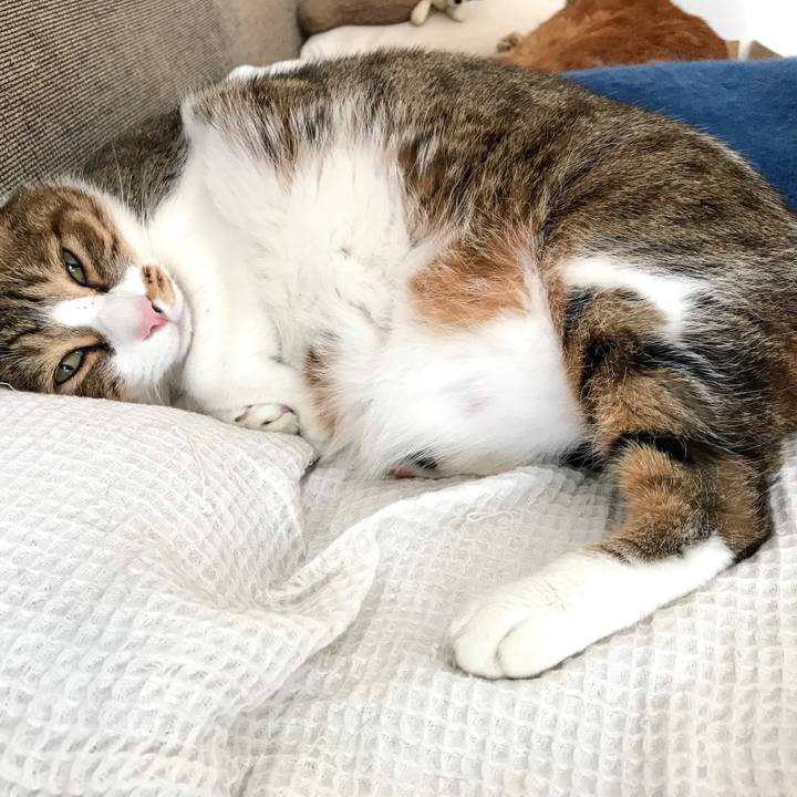 3a27c7b4 c967 4606 ac81 ecc10e5eb1f1 1585272374374