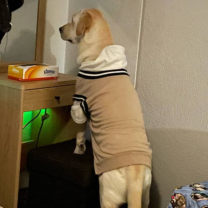 3a27f2ed fd65 47e5 81d5 8fe34329aeae 1638538745953