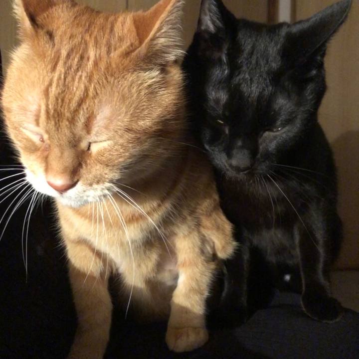 3a27f59d 707e 4b58 a76a ce7d5f6f6680 1680607467764