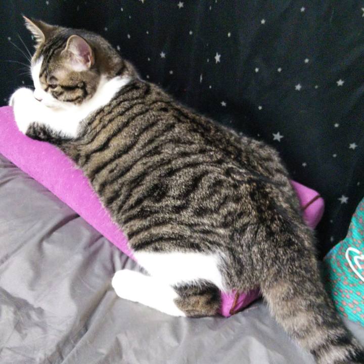 3a280b06 feb3 42e7 9277 3d08feb43c86 1624660618450