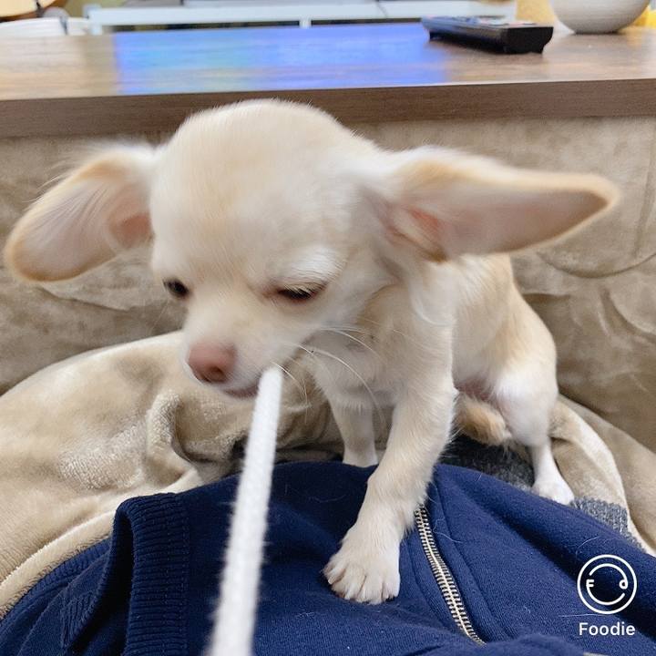 3a280f65 647a 4c81 9598 3d4c5cd35e46 1604706393148