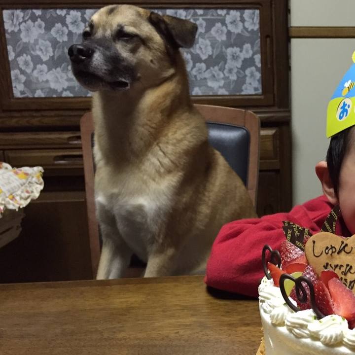 3a281d94 ad7c 4b20 a4bb 34e47cc42fcb 1507812010613