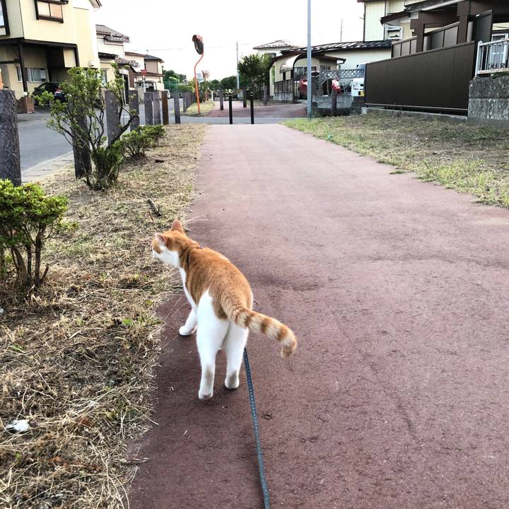 3a283517 a33d 497a b49a 40622e664a0c 1565448261908