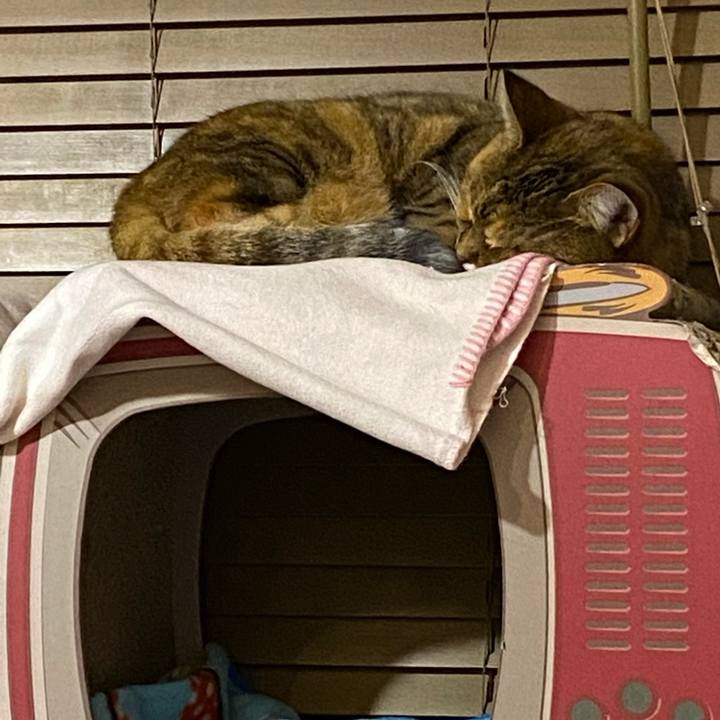 3a2840b7 bd5a 48cf 8060 e08a46ed21d2 1640872931555