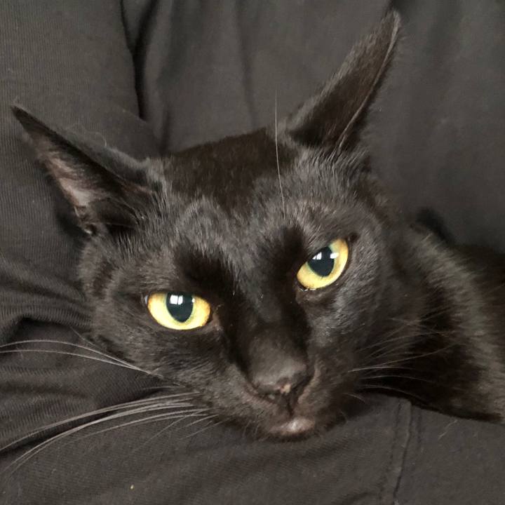 3a285337 1327 4675 92c7 89ca3aed8998 1662453613133