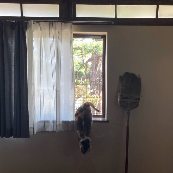 3a286314 eaa2 4d3e 8481 f759869a3e0a 1723383719606