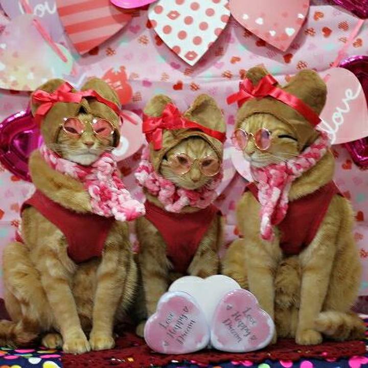 3a28833e 93fd 4cb1 a4d2 69288284a864 1550145354094