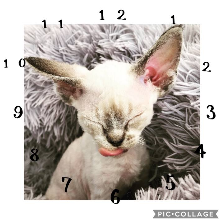 3a28959d d858 495f 9f9f e0b716ef3718 1581167863882