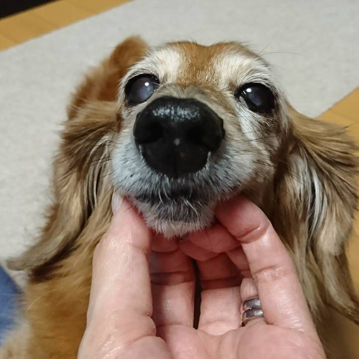 3a2898ae fcb3 48b3 91ce def9fdd44768 1511085577909