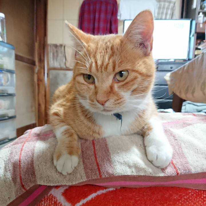 3a28a859 d7b8 438a 9ec0 50e23414fb0f 1605936414775