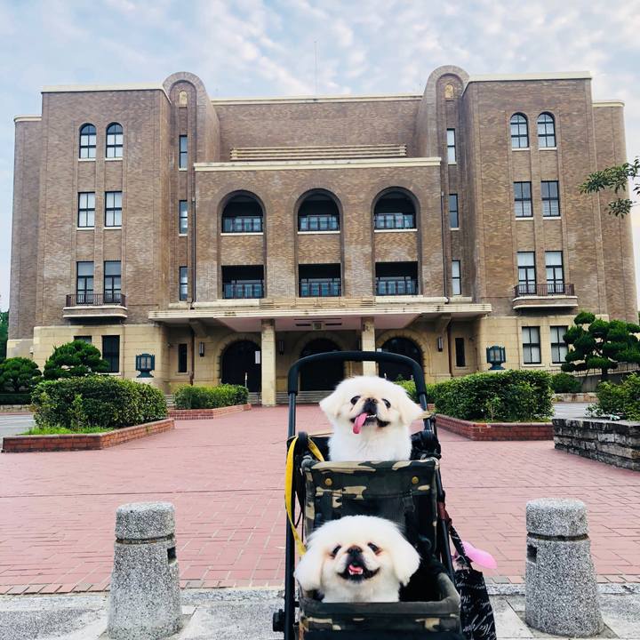 3a28b48e 660e 4797 991c 12f37db01b95 1596577817601