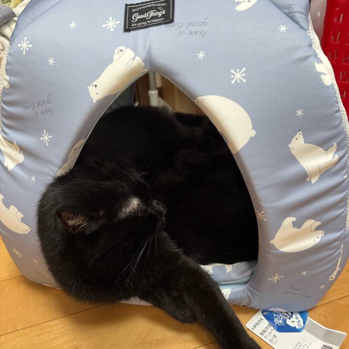 3a28d681 3f1e 433c 9fb1 5f6e92fd4746 1749450120494