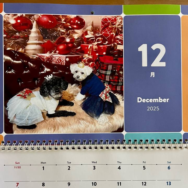 3a28d703 f190 4964 a849 ba16cc000ada 1764562048800