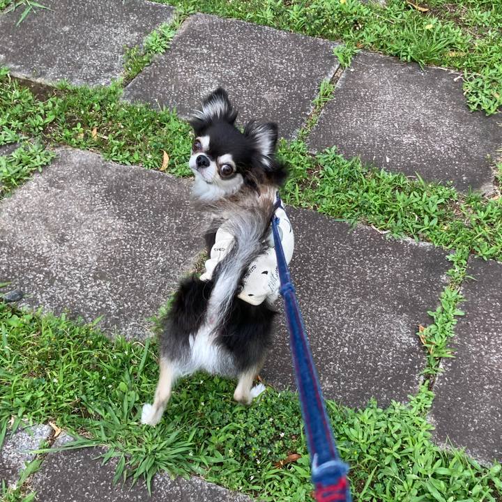 3a291f4a 2fe9 41f5 af65 223fdf724b8b 1717343502379