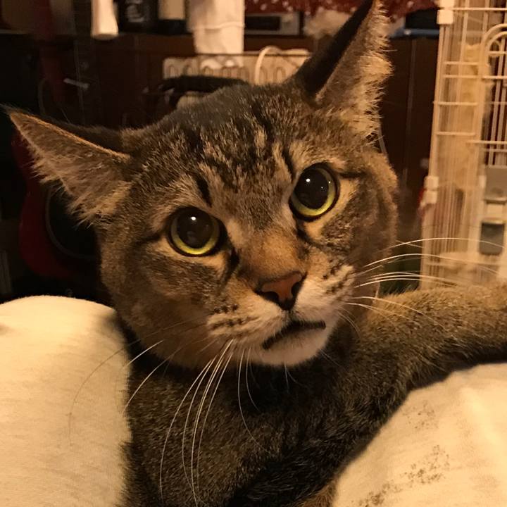 3a293b37 8dee 42ac 9f82 dbbcaecc8746 1553371366097